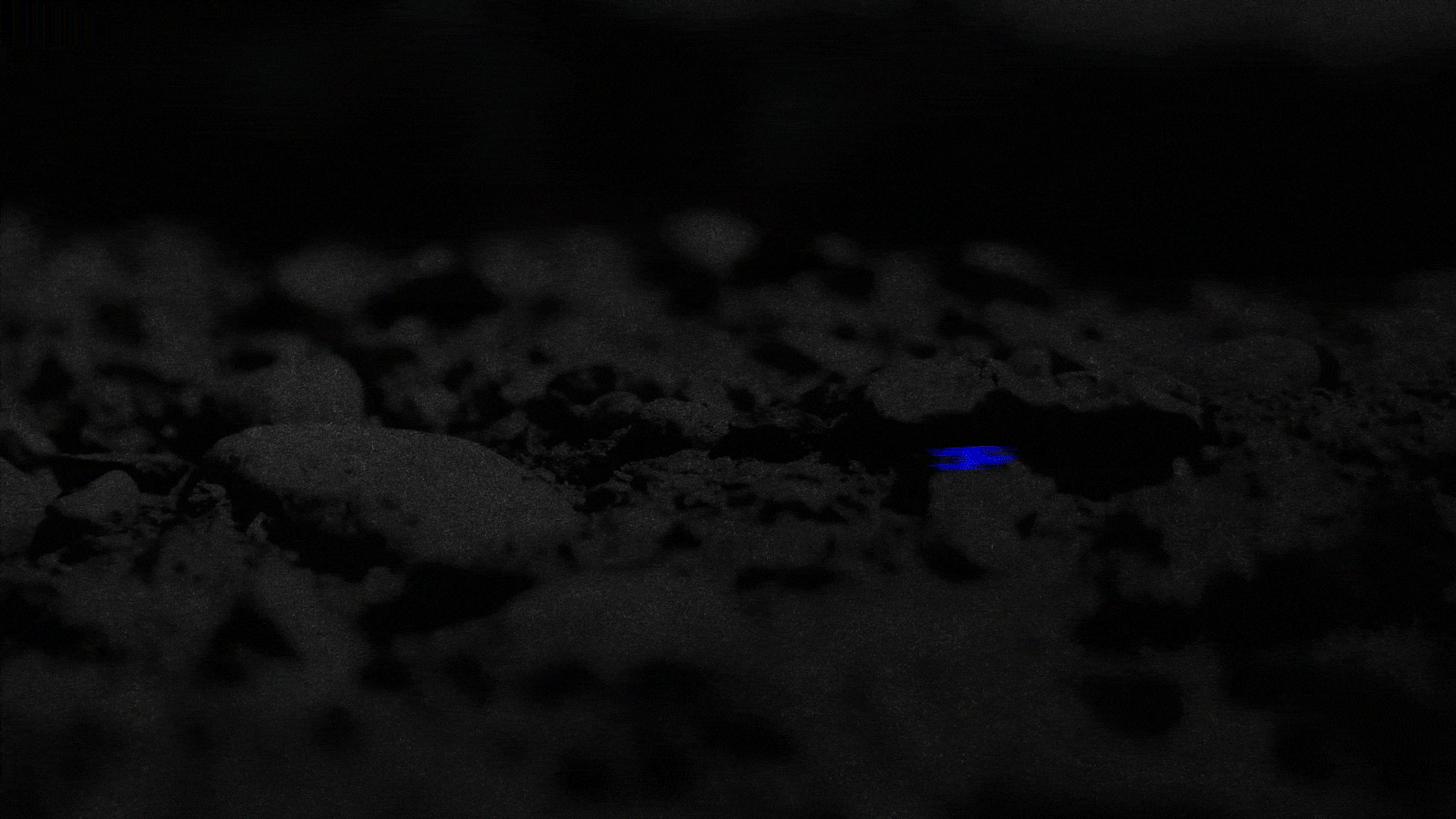 Carbon Crusher gallery image 8